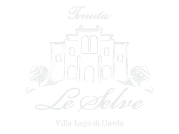 Logo Tenuta le Selve